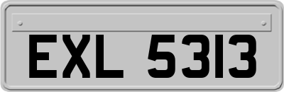 EXL5313