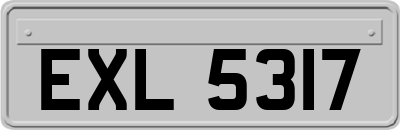 EXL5317
