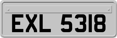 EXL5318