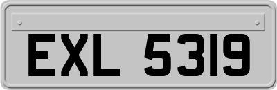 EXL5319