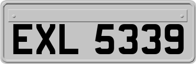 EXL5339