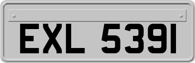 EXL5391