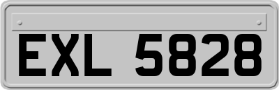 EXL5828