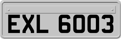 EXL6003