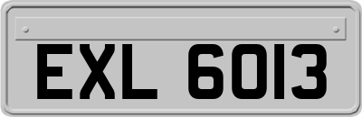 EXL6013