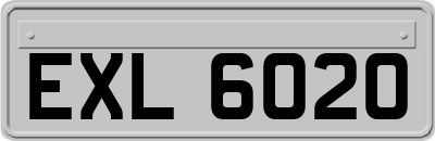 EXL6020