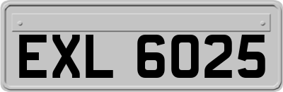 EXL6025