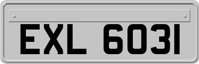 EXL6031