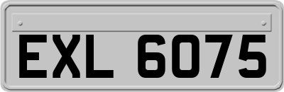 EXL6075
