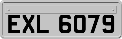 EXL6079
