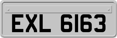 EXL6163