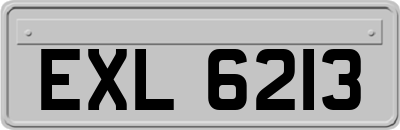 EXL6213