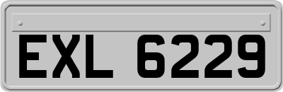 EXL6229