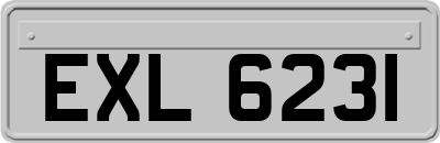 EXL6231