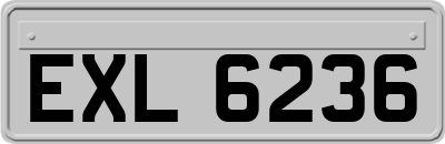 EXL6236