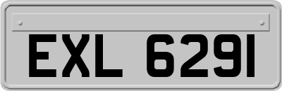 EXL6291