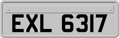 EXL6317