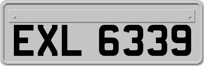 EXL6339