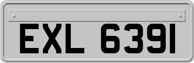 EXL6391