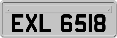 EXL6518