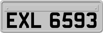 EXL6593