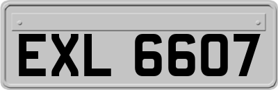 EXL6607