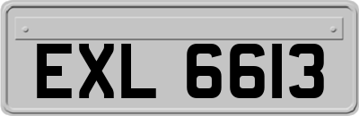 EXL6613