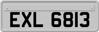 EXL6813
