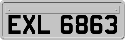 EXL6863