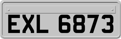 EXL6873