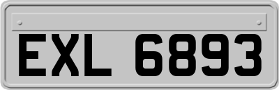 EXL6893