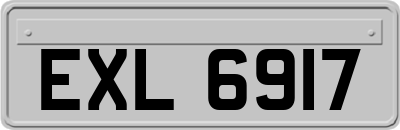 EXL6917