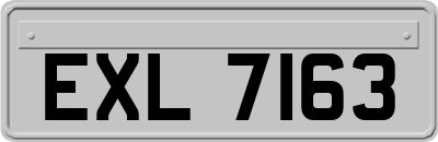 EXL7163