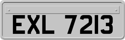 EXL7213