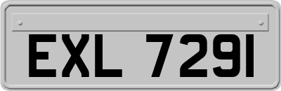 EXL7291