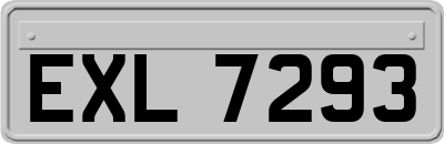EXL7293