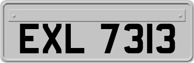 EXL7313