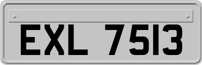 EXL7513