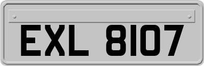 EXL8107