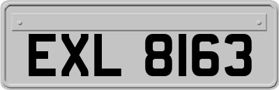 EXL8163