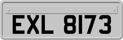 EXL8173