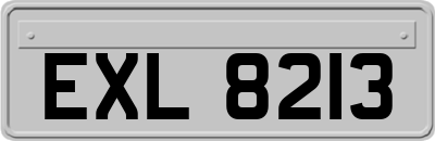 EXL8213