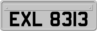 EXL8313