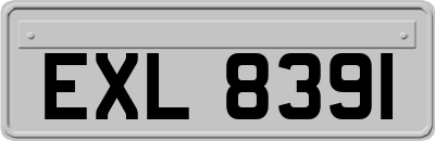 EXL8391