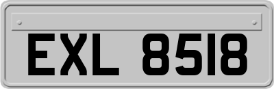 EXL8518