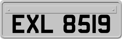 EXL8519