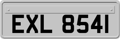 EXL8541