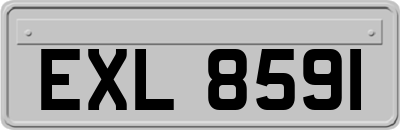EXL8591
