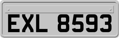 EXL8593