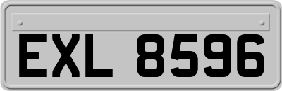 EXL8596